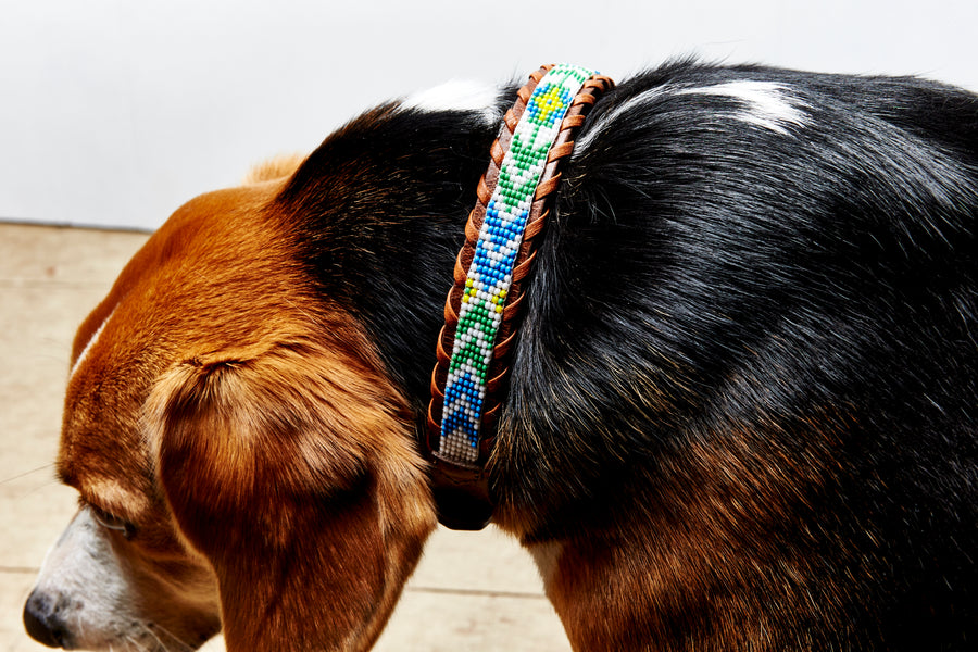 Flowers/Arrow Collar (thin)